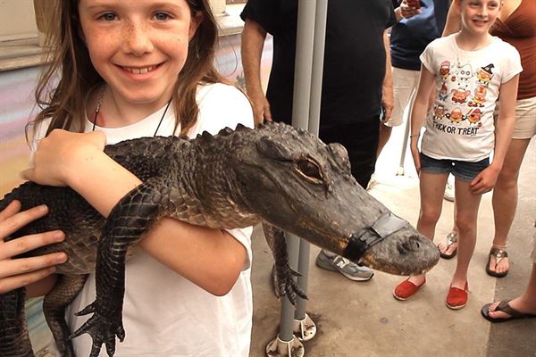 Everglades Holiday Park