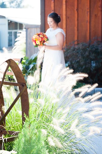 Carleton Farm Weddings and Events