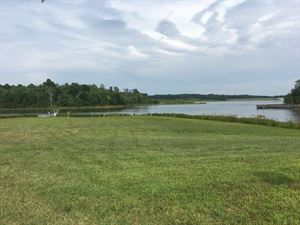 Lawn on the shore of Lake Hampton