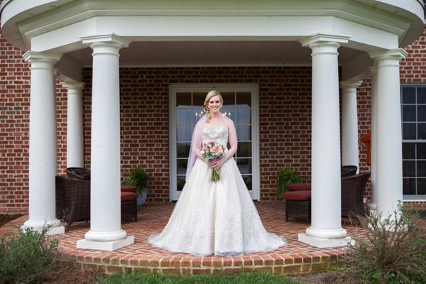 Brix and Columns Vineyards