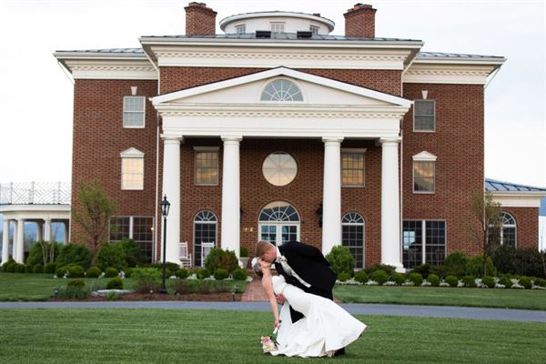 Brix and Columns Vineyards