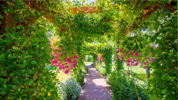 The Tea Pot On Wheels