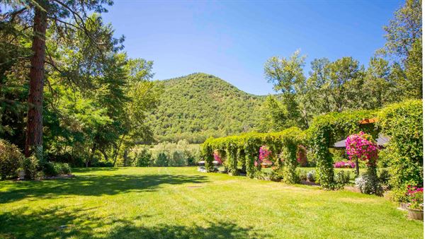 The Tea Pot On Wheels