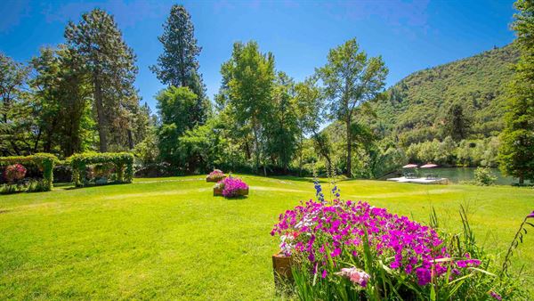 The Tea Pot On Wheels