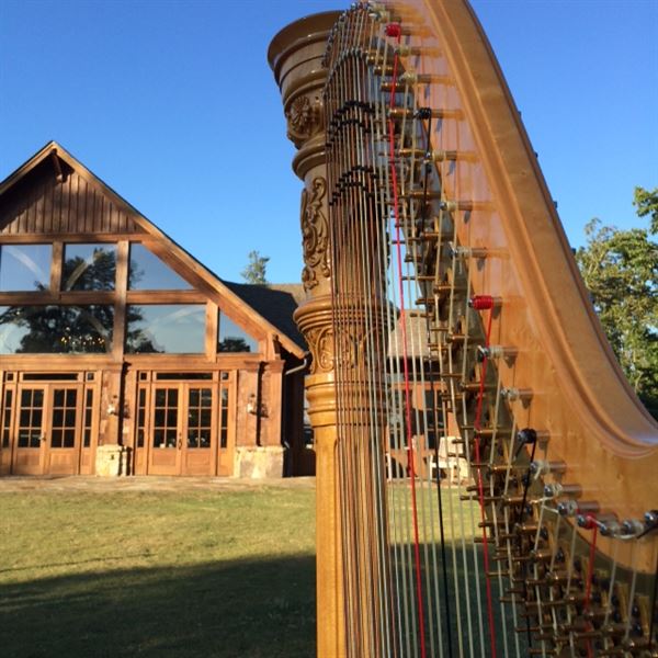 Atlanta Harpist Brenda Street