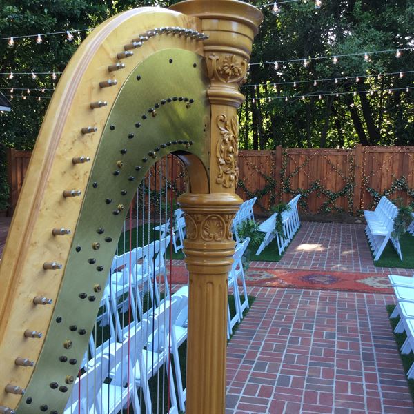 Atlanta Harpist Brenda Street