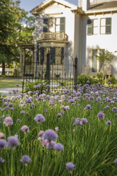 Gardens of the Woodrow Wilson Family Home