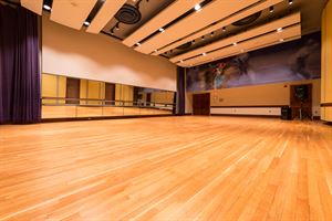 Irvine Emily Sachs Rehearsal Room