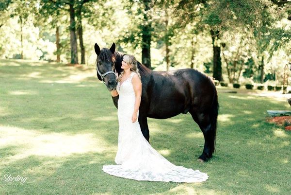 Alda's Magnolia Hill