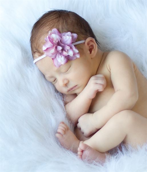 Ron Barbosa Photography