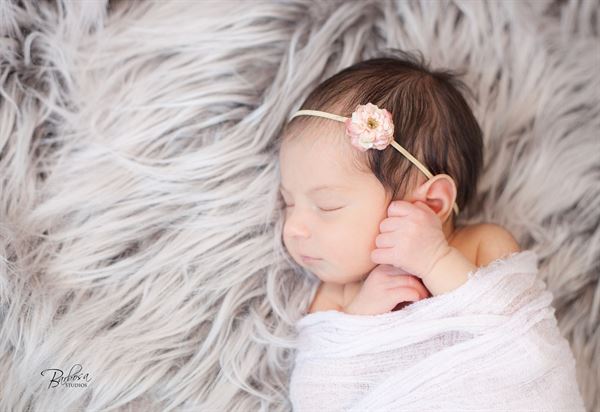 Ron Barbosa Photography