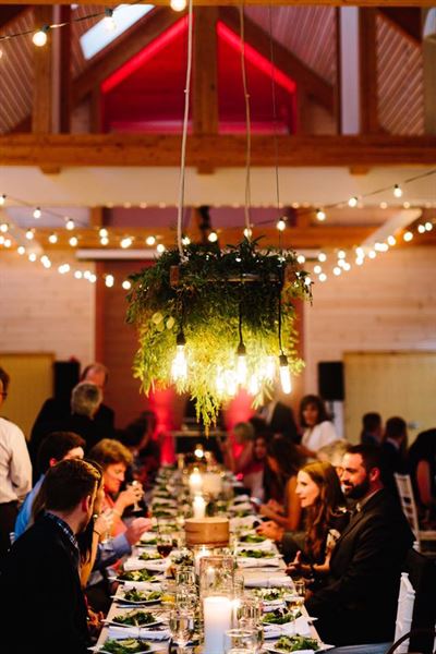 Blue Elephant Events and Catering