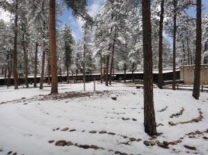 Nature and Wildlife Discovery Center -Mountain Campus