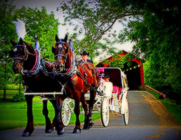 Historic Poole Forge