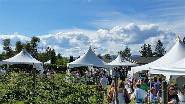 Avalon Event Rentals Kelowna