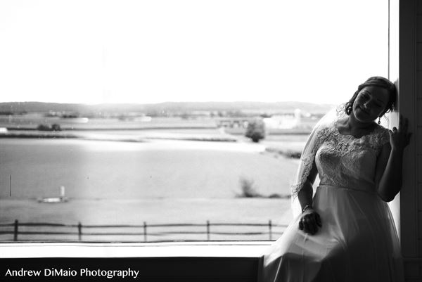 The View Wedding and Events