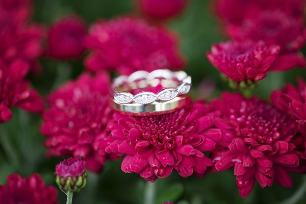 Melissa Kincaid Photography