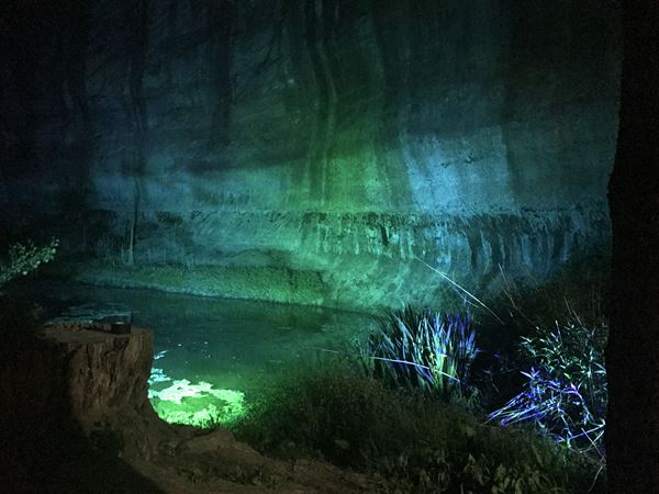 Audio-Visual Advantage