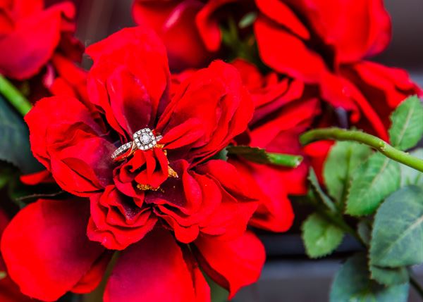 Relish Say I Do!! Officiant & Photographer