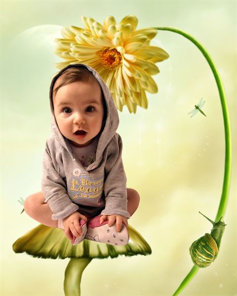 Yellow Ruthe Creative Business Services