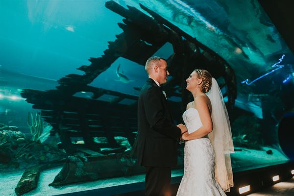 Texas State Aquarium