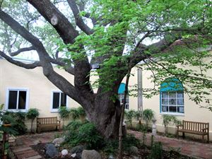 Courtyard and Library
