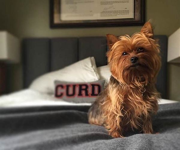 Graduate Madison/Camp Trippalindee