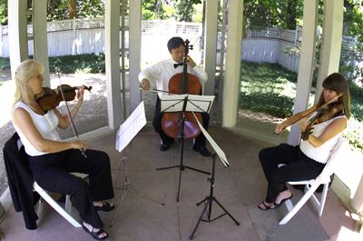 Bay Area All Strings & Brass