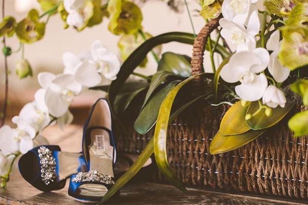 Julian Ribinik Photography