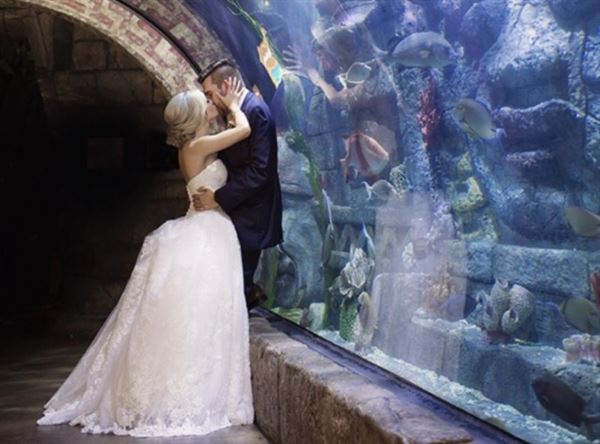 Downtown Aquarium - Houston, TX