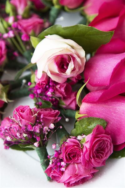 Floral Senses Designs