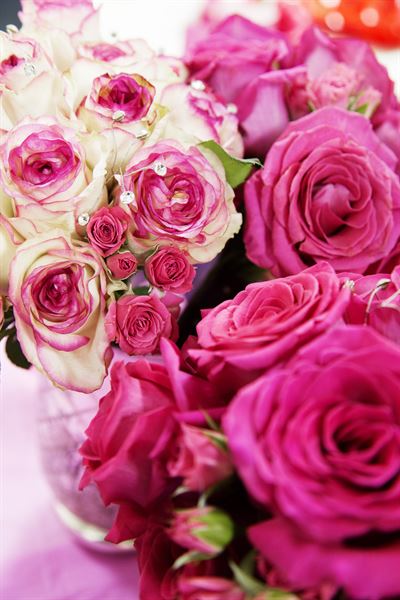 Floral Senses Designs