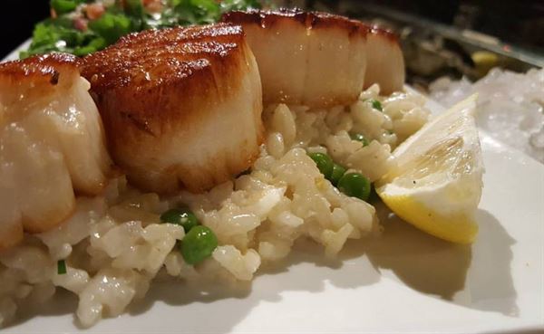 Providence Oyster Bar