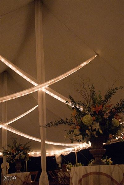 elstudio.pro   love.life.play.