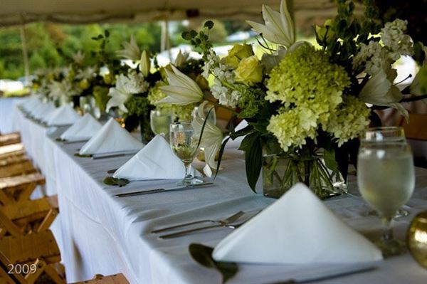 elstudio.pro   love.life.play.