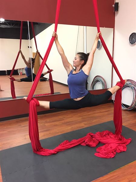 The Center for Performance Arts and Learning