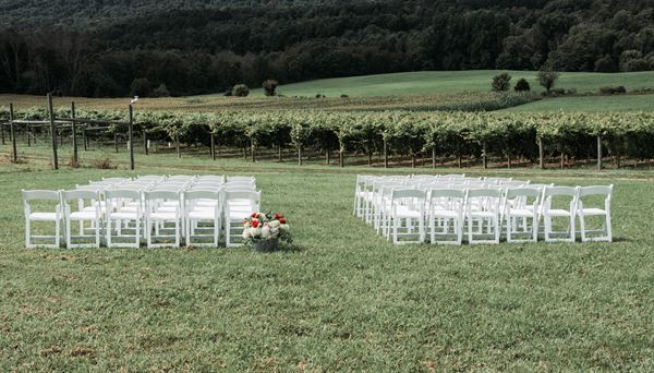 Broad Mountain Vineyard