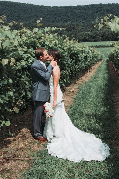 Broad Mountain Vineyard