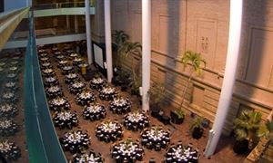 South & Central Atrium