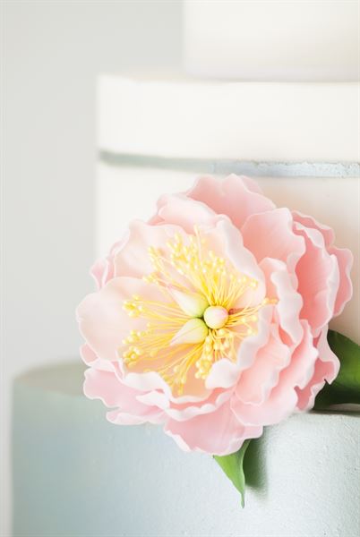 La Creme Wedding Cakes