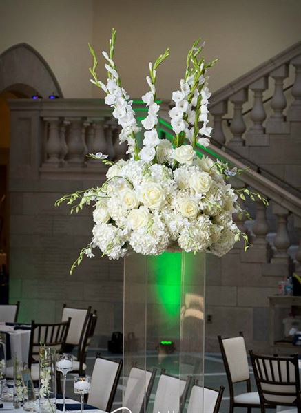 Vivid Expressions LLC