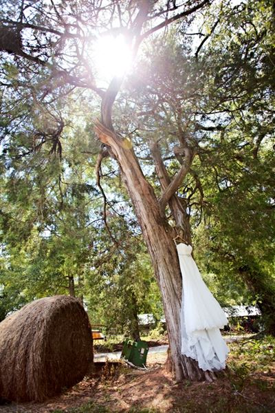 Katrina Dent Photography