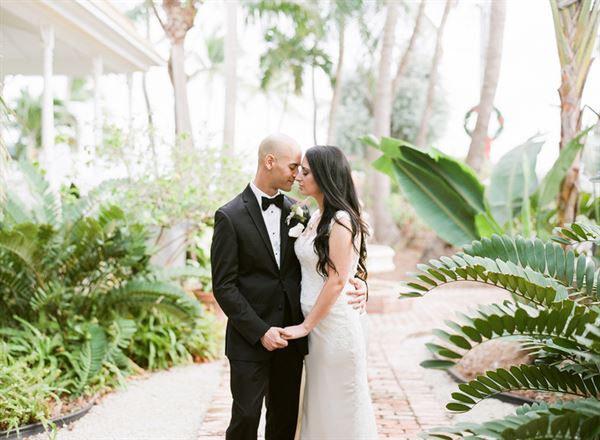 Nicoll's Wedding Photography