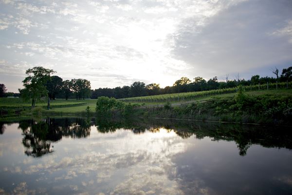 Rosemont Vineyards & Winery