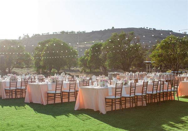 Hamilton Oaks Vineyard Events