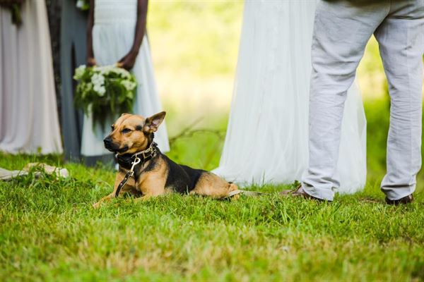 Ivy Creek Family Farm