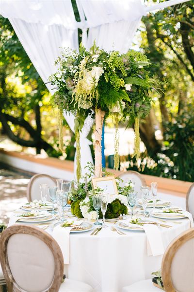 The Blushing Details