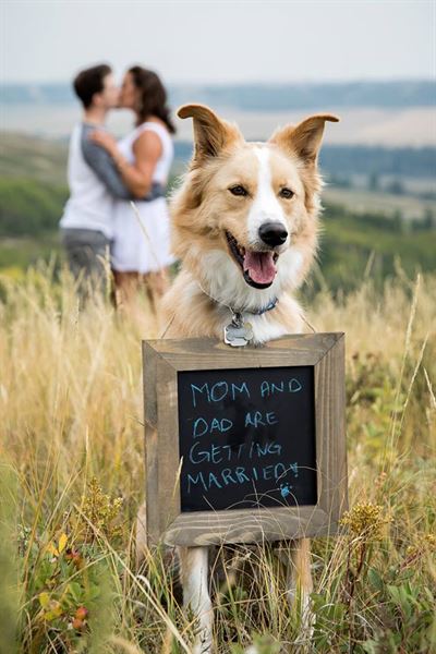 Kim Payant Photography