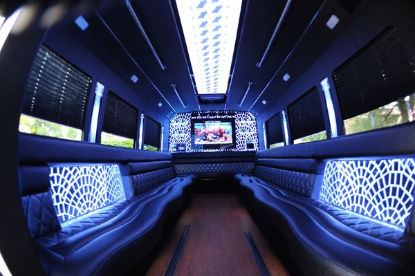 Platinum Party Bus