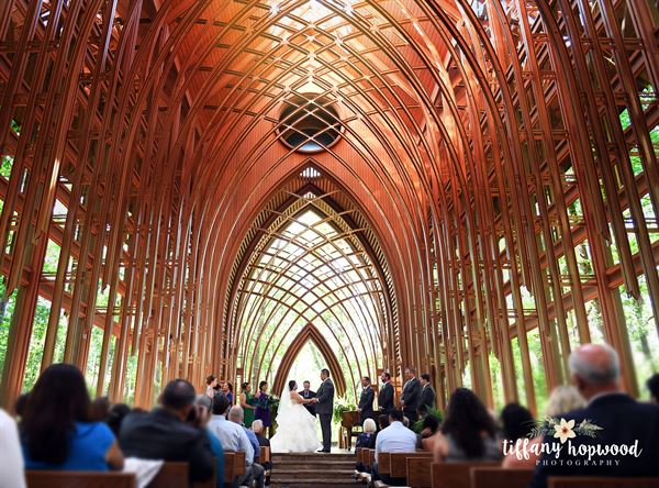 Tiffany Hopwood Photography